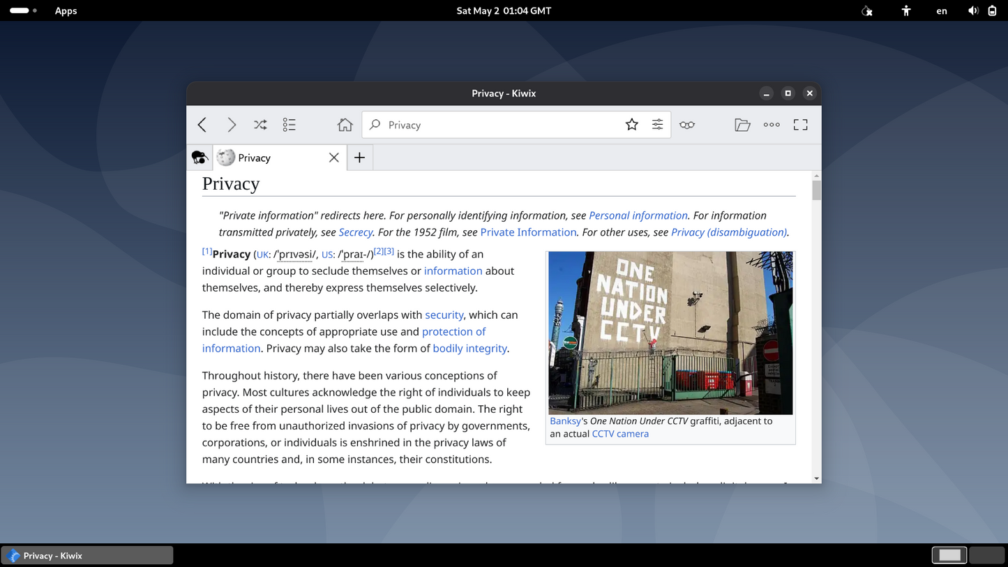 Offline Wikipedia Tails USB | Private, Portable, No Setup | Bootable 256GB 3.1
