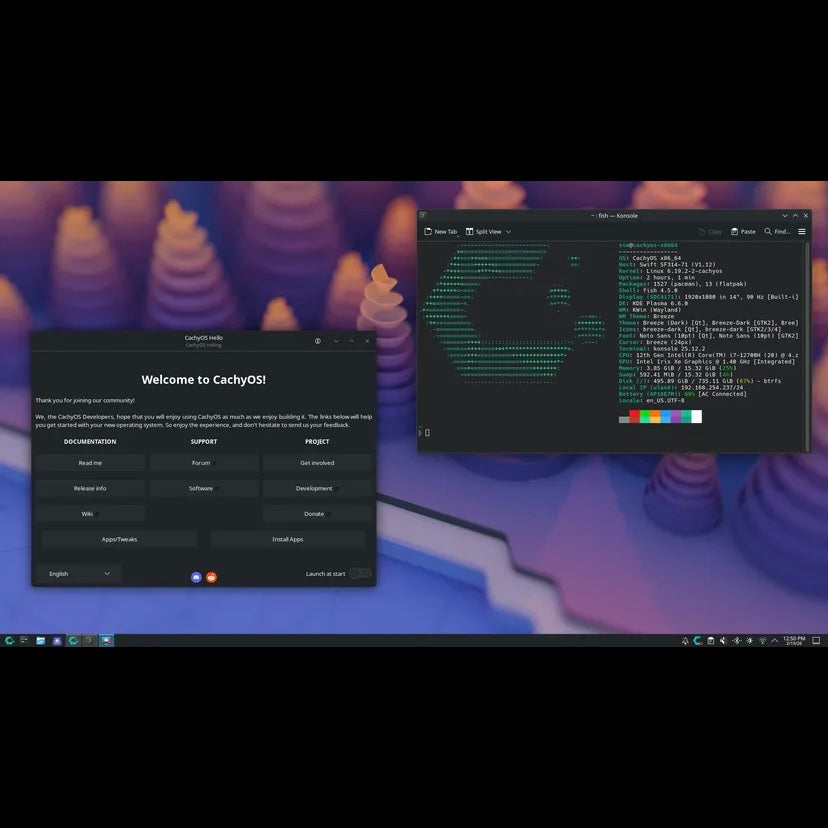 Cachy OS Linux Bootable USB Drive | Live Installer | 32GB 3.2